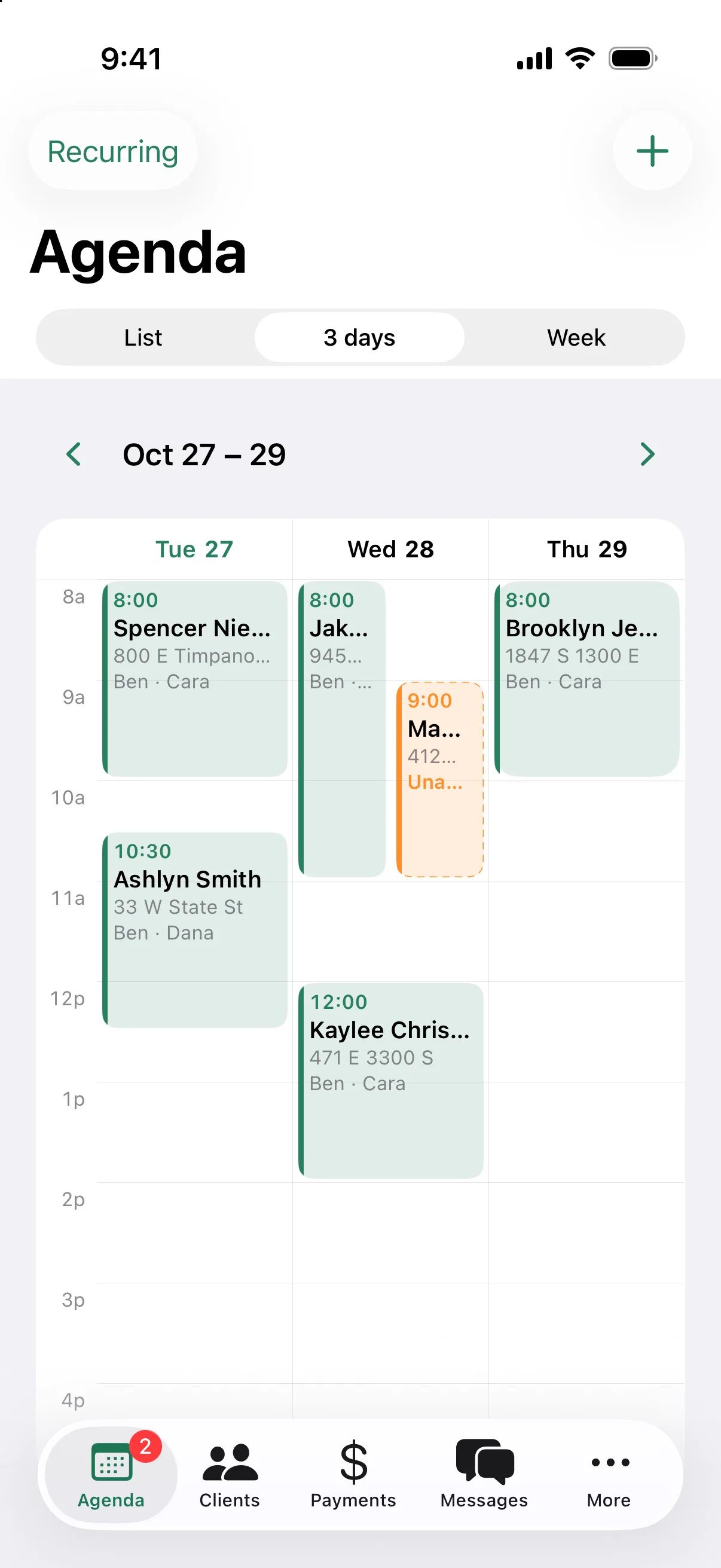 The next three days in the iPhone app, with each cleaning as a block on a time grid.